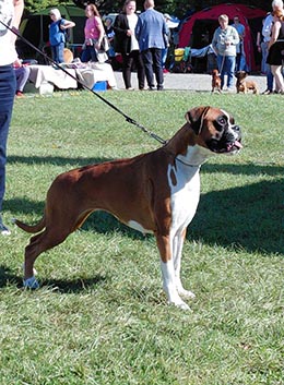 Quiz-Queen vom Hause Rehberg