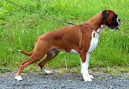 Quiz-Queen vom Hause Rehberg