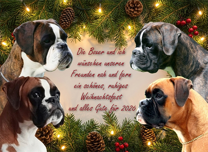Weihnachtsgruss